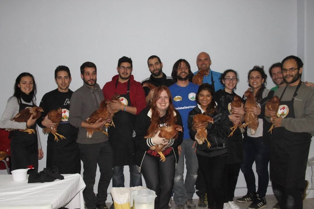 Chicken Camp - nivel I