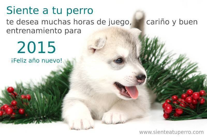Feliz año 2015