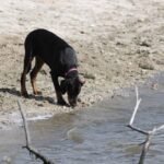 Beamish intimando con el embalse