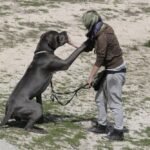 Kringer y Sandra llegando a un acuerdo...