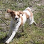 Neska como más se divierte... ¡corriendo!