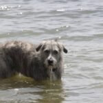 Noa a punto de zambullirse