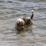 Agua por aquí, agua por allá