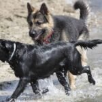 Energía en su estado puro