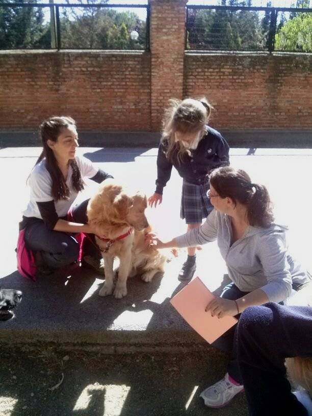 Actividad asistida con perros en Sagrado Corazón