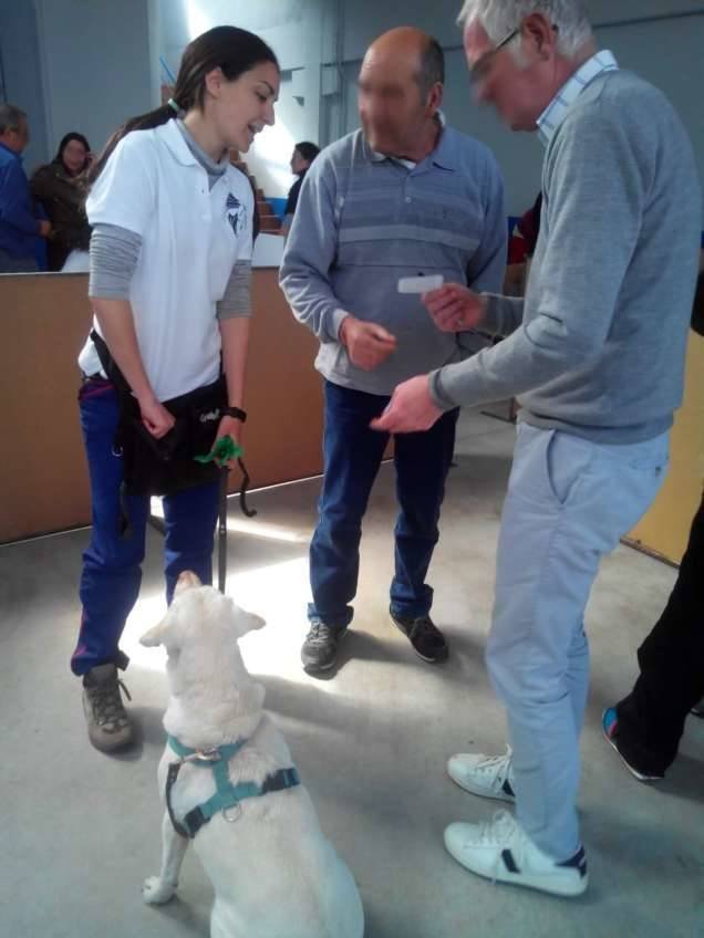 Actividad asistida con perros en Enfermedades Mentales