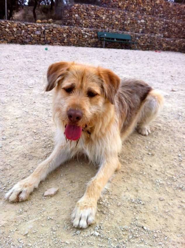 Portos, CICAM - Majadahonda