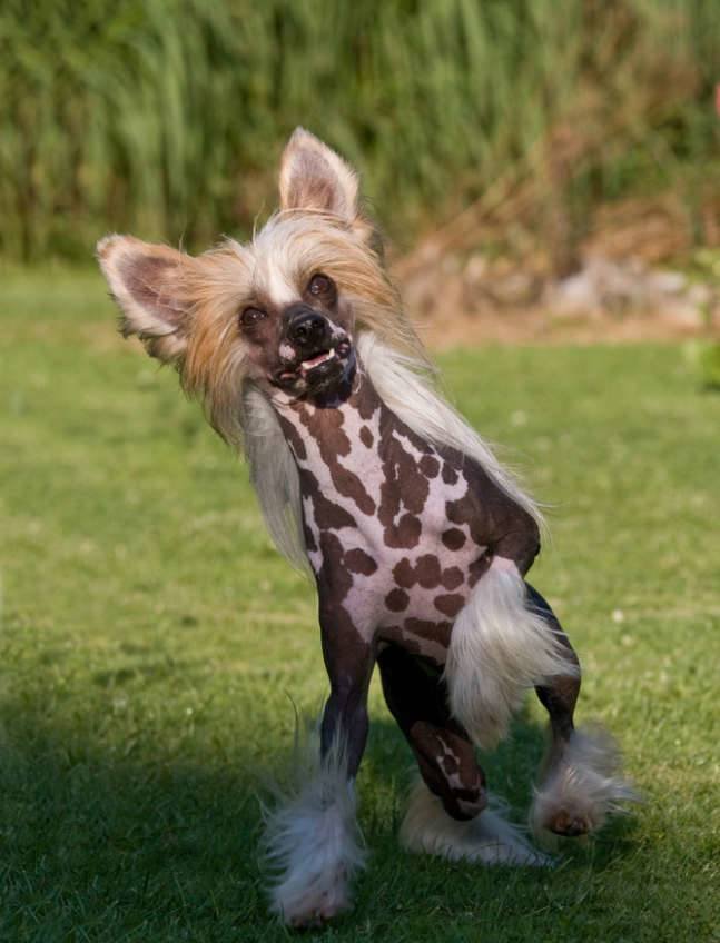 Señales, ni órdenes ni comandos.