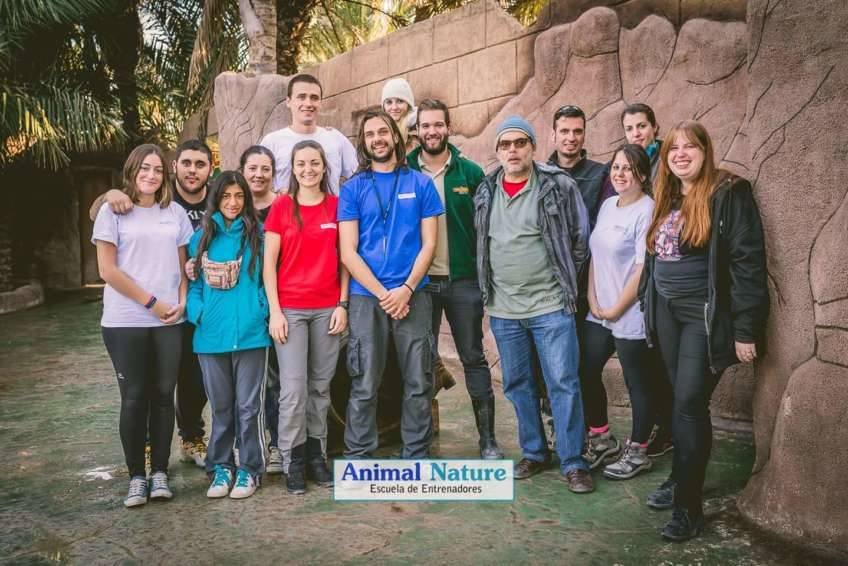 Entrenamiento de leones marinos