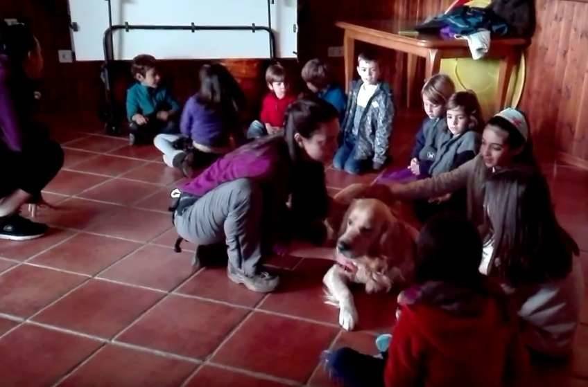 Actividad asistida con perros