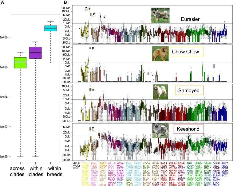 Distribución de halotipos
