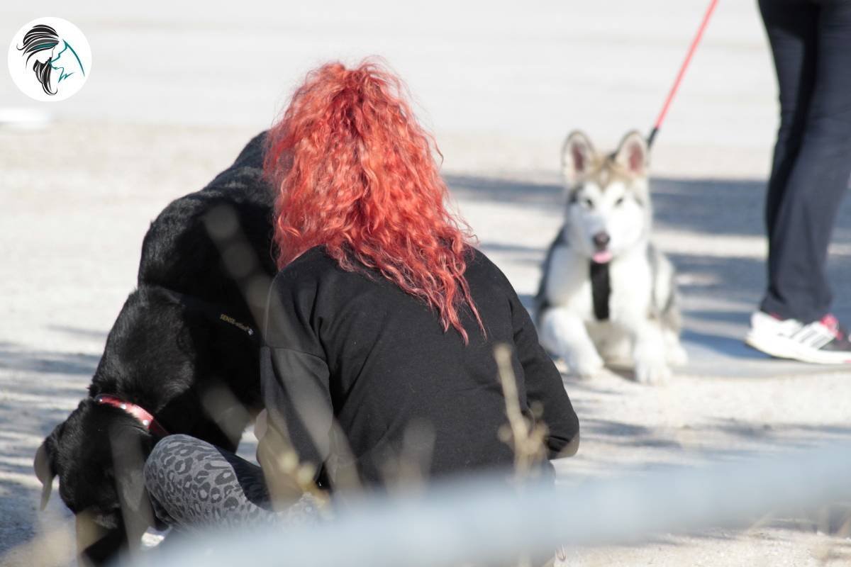 clases grupales en Alcorcón