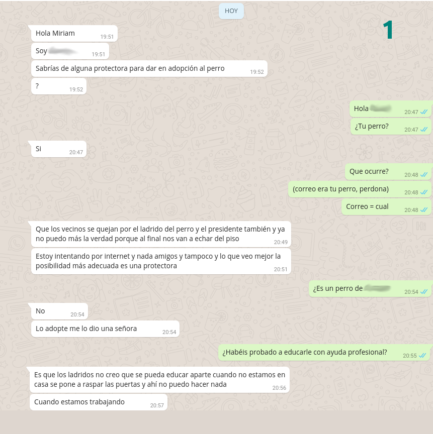 conversación abandono de perro