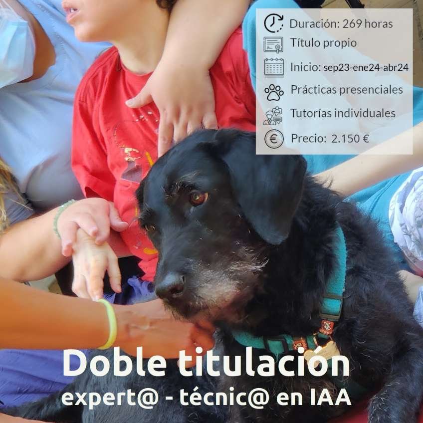 Una perra negra rodeada de niñños y niñas con parálisis cerebral, acariciándola mientras ella disfruta. Información sobre el curso de Intervenciones Asistidas con Animales