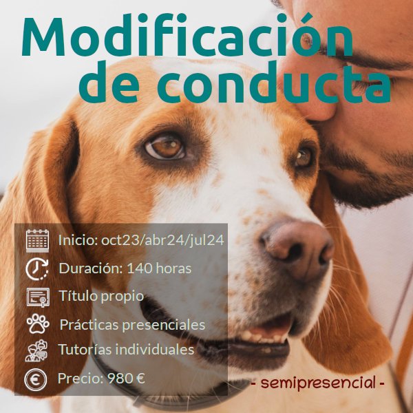 hombre besando en ala frente a un perro marrón y blanco